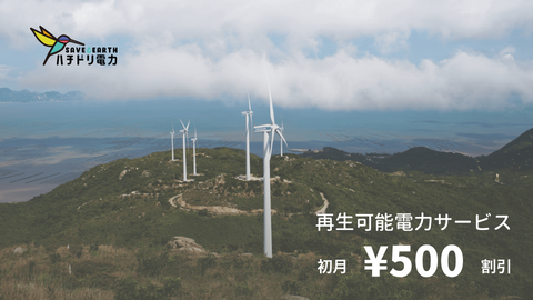A power service that uses 100% CO2-free natural energy.